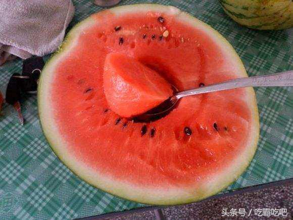 吃网瓜友,吃瓜群众热议不断