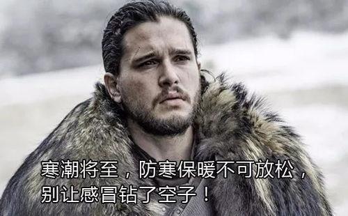 吃瓜的雪诺网红必须死,网红之路的悲情落幕