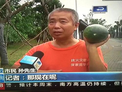 网曝热门事件吃瓜最新,吃瓜群众热议，真相究竟如何？