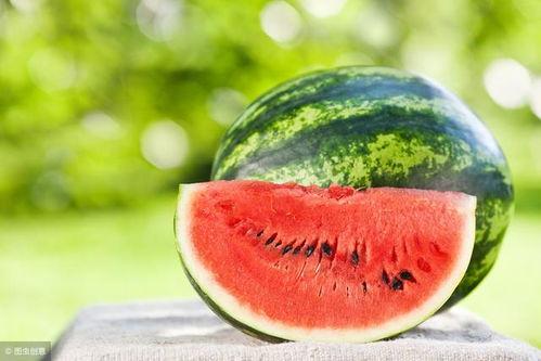 甘肃网红吃瓜事件真相,揭秘背后的真相与争议