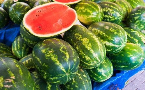 吃瓜网官网最新地址,畅享资讯盛宴的全新起点