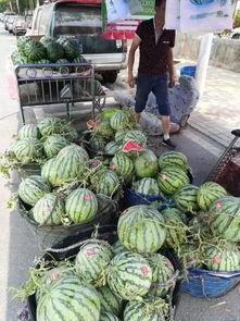 亳州网红吃瓜事件,一场网络狂欢背后的真相揭秘