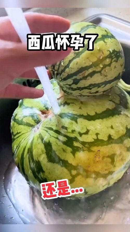 播放搞笑吃瓜视频素材网,让你笑到肚子疼