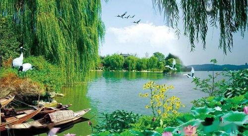 风景如画吃瓜网,带你领略视觉盛宴与轻松娱乐的完美融合