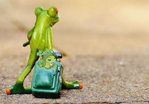 网红青蛙站在路边吃瓜,萌态十足引网友热议