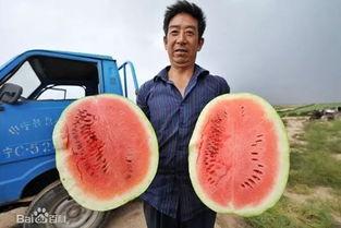 火热中国吃瓜网