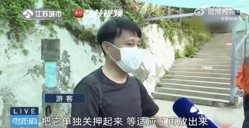 网红吃瓜兄妹是真的吗,揭秘真实身份与背后故事